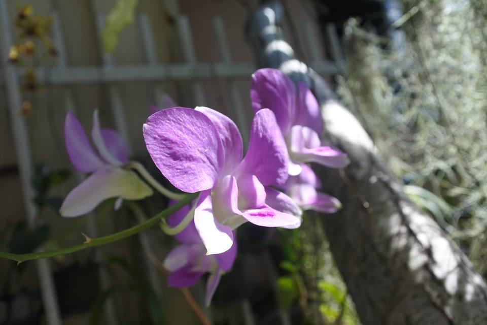 Hotel Baannueng@Kathu Phuket Esterno foto